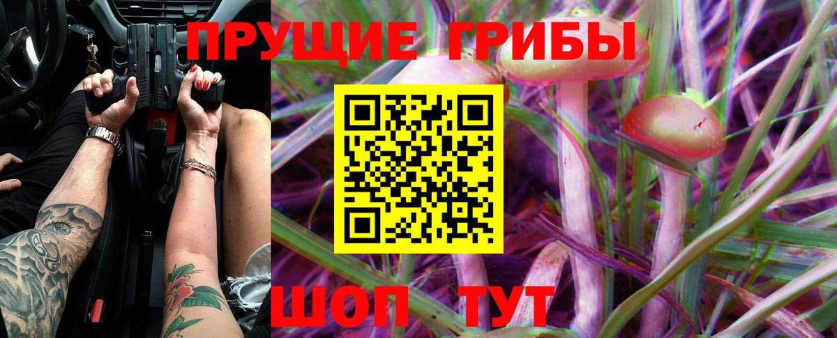 Галлюциногенные грибы Magic Shrooms  Вход с VPN  Вольск  Псилоцибиновые грибы прущие грибы 